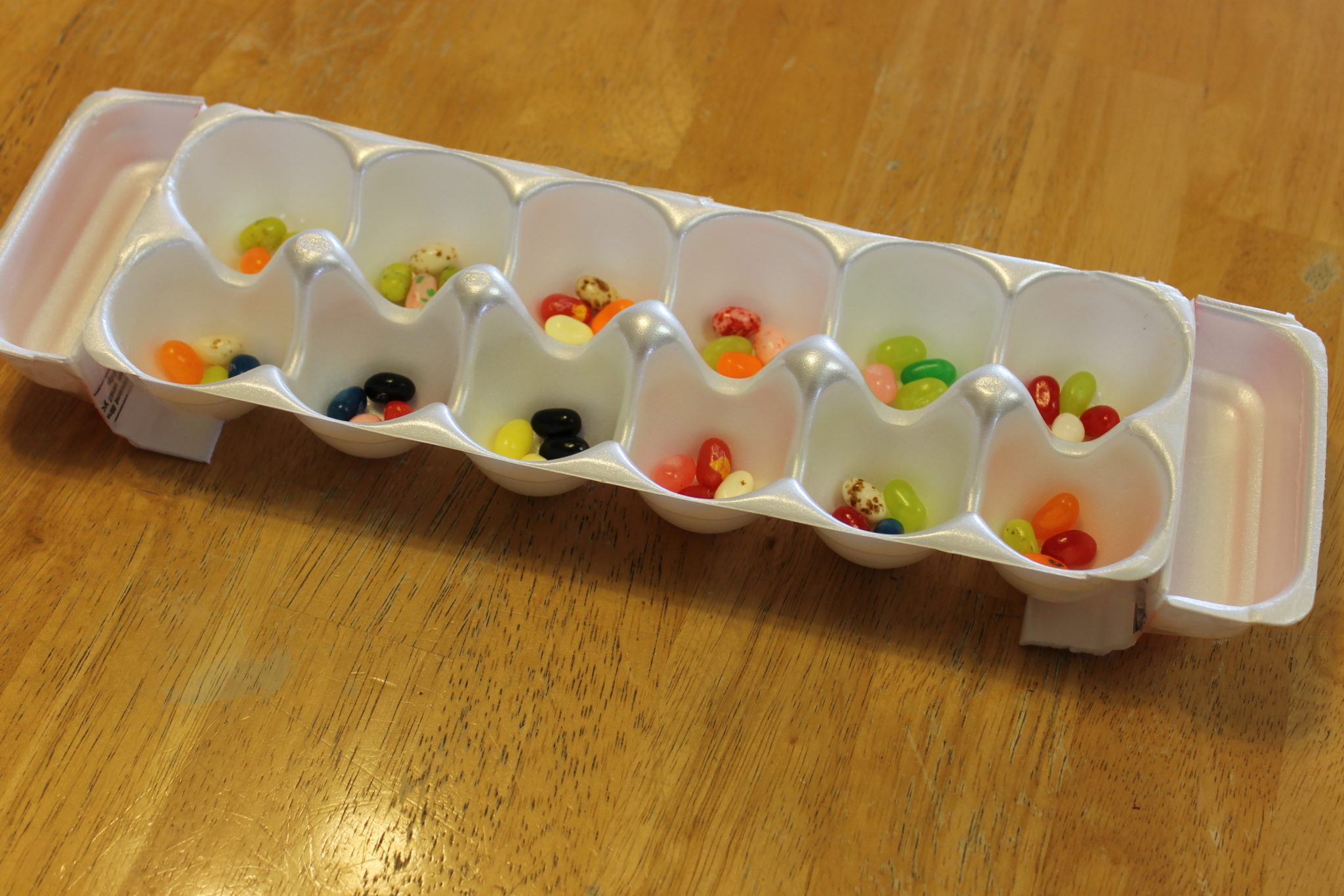 Make Your Own Egg Carton Mancala Game Upcycled Craft For Kids,Red Eared Turtle Food