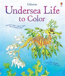 Usborne Books Undersea Life to Color
