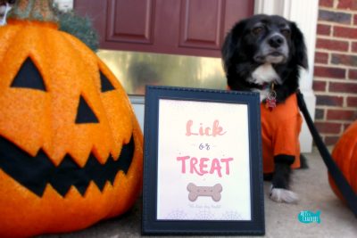 Lick or Treat Halloween Printable Cover