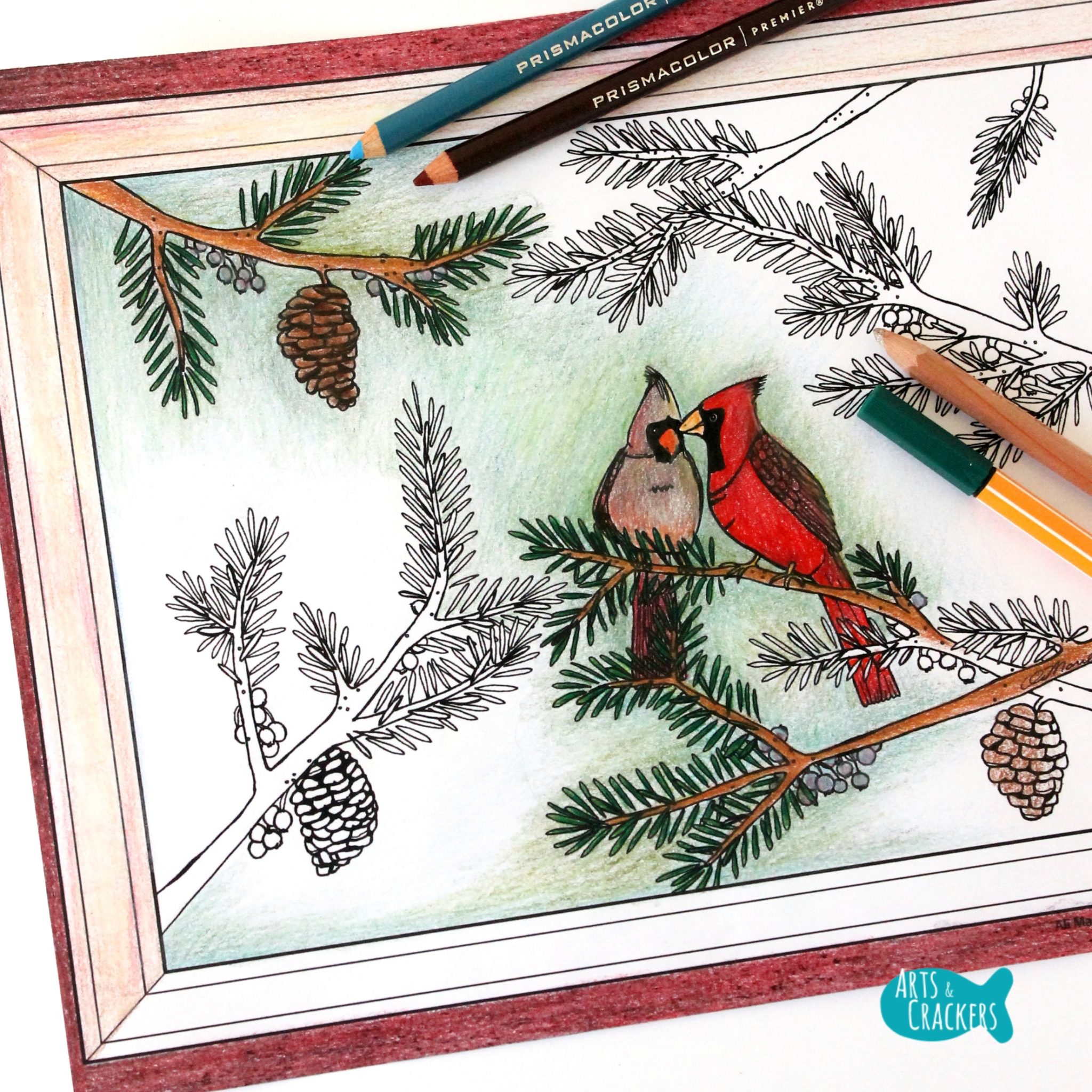 Winter Cardinals Christmas Coloring Page for Adults