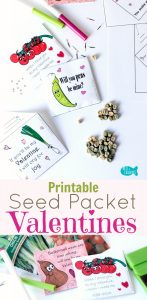 Printable Seed Packet Valentines | Non-Candy Valentines